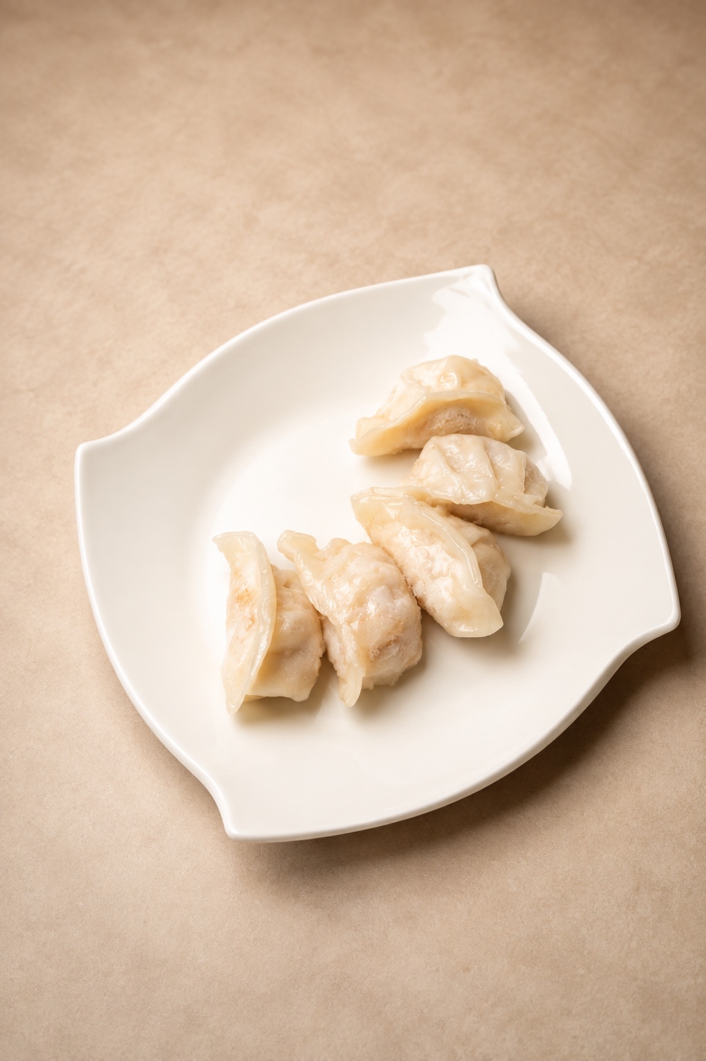 Gyoza mit Hähnchen